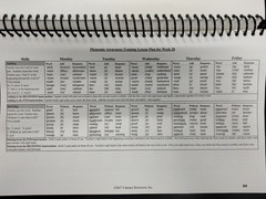 Phonemic Awareness (Primary Version) Michael Heggerty