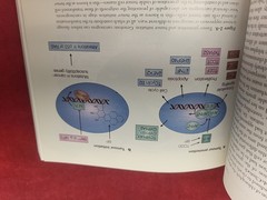 Cancer Biology – Fourth 4th Edition – Raymond Ruddon (PB, 2007)