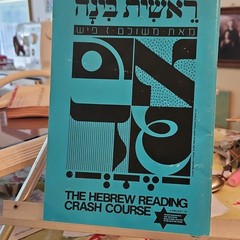 The Hebrew Reading Crash Course Hebrew/English A1 Beginner Book w/ Aleph-Bet