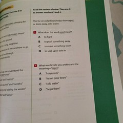 3rd Grade Ready Writing Instruction Student Workbook Ed. Curriculum Associates