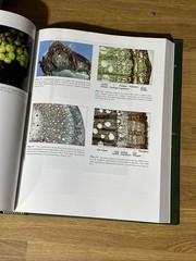 Wine Science: Principles and Applications [Food Science and Technology]