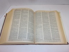 New Webster’s Dictionary And Thesaurus Of The English Language 1992, 1248 Pages