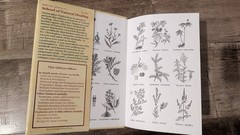 School of Natural Healing Sixteenth Edition by Dr. John R. Christopher HC/DJ