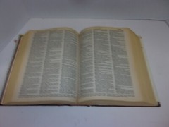 New Webster’s Dictionary And Thesaurus Of The English Language 1992, 1248 Pages