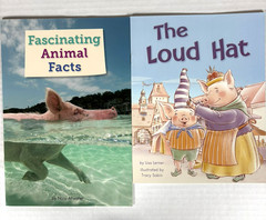1st Grade Readers Multi-Level Reading Library #5 – 21 Books Levels E-M