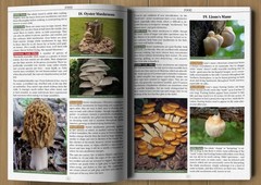 Wilderness Long-Term Survival Guide: Forgotten Skills to Make the Wild Your Home