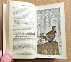 Fieldbook of Wild Birds and Their Music: F S Mathews. 1906. 1st Edition. Reprint
