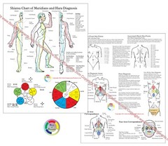 Shiatsu Chart of Meridians and Hara Diagnosis 8.5″ X 11″ Laminated