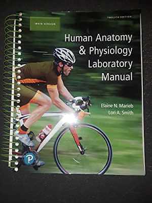 Human Anatomy & Physiology – Paperback, by Marieb Elaine; Smith – Acceptable w