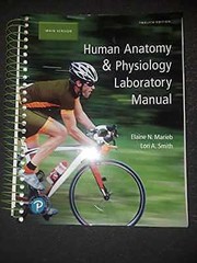 Human Anatomy & Physiology – Paperback, by Marieb Elaine; Smith – Acceptable w