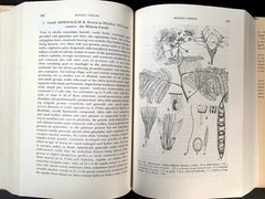 An Integrated System Of Classification Of Flowering Plants – Arthur Cronquist