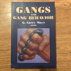 Gangs and Gang Behavior by G. Larry Mays, 1997, 490 pages, very good++