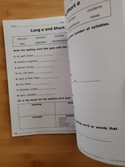GRADE 4 Benchmark Advance Grammar Spelling Vocabulary Activity Workbook