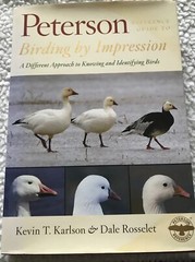 Peterson Ref Guide To Birding By Impression.