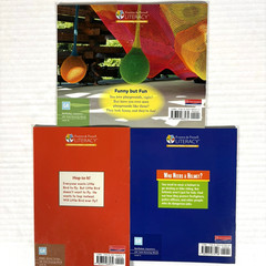 1st Grade Readers Multi-Level Reading Library #5 – 21 Books Levels E-M