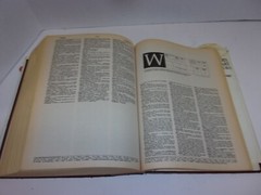 New Webster’s Dictionary And Thesaurus Of The English Language 1992, 1248 Pages