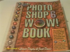 The Photoshop 6 WOW! Book – paperback Linnea Dayton|Jack Davis
