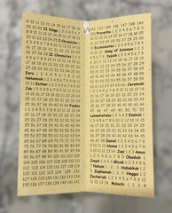 BibleTracker – Bible Reading Checklist (color: Khaki) – NEW