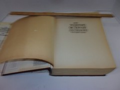 New Webster’s Dictionary And Thesaurus Of The English Language 1992, 1248 Pages