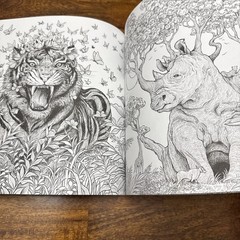 Fragile World: Colour Nature’s Wonders (Colouring Books) by Rosanes, Kerby Book
