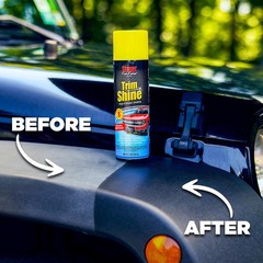 Stoner Car Care 92034 Trim Shine – Black Trim and Plastic Restorer for Cars –…