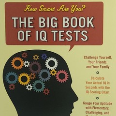 The Big Book of IQ Tests Norman Sullivan Spiral 1988 Tests with Answers