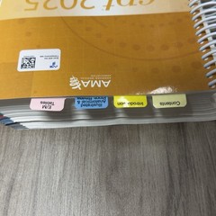 CPT 2025 Professional Edition AMA American Medical Association Tabs