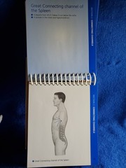 The Channels of Acupuncture Cards Giovanni Maciocia 2006 Elsevier Set