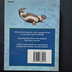 Expert Guide: Marine Life by Michael Wright & Giles Sparrow Illustrated Book