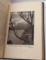 The New World College Readings in English 1920 University of California Antique