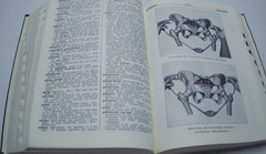 Taber’s Cyclopedic Medical Dictionary 5th Edition 1948