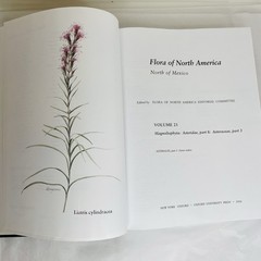 Flora of North America Vol 21 Magnoliophyta: Asteridae (in part): Asteraceae Pt3