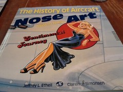 The History of Aircraft Nose Art WWI to Today Jeffrey Ethell Clarence Simonsen