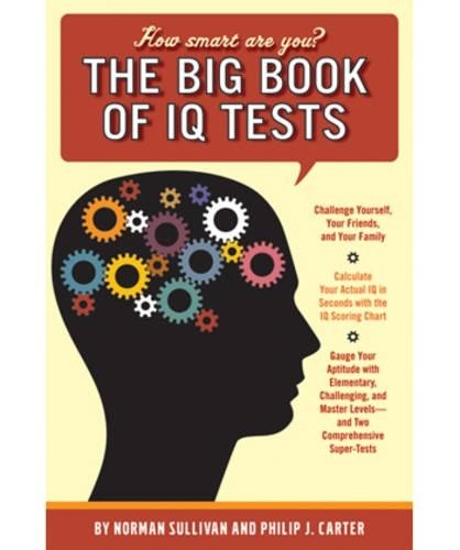 The Big Book of IQ Tests by Sullivan, Norman Spiral bound Book The Fast Free