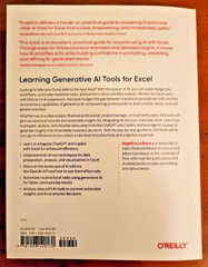 Learning Generative AI Tools for Excel : Speed up Your Everyday Tasks with…