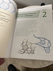 Neuroanatomy Through Clinical Cases by Hal Blumenfeld (2021, Trade Paperback)
