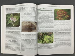 The Lost Book of Herbal Remedies (paperback with color pictures) Hundreds of
