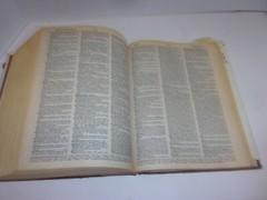 New Webster’s Dictionary And Thesaurus Of The English Language 1992, 1248 Pages