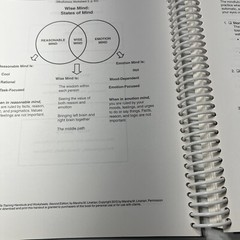 DBT Skills Training Handouts and – Paperback, by Linehan Marsha M. – Good