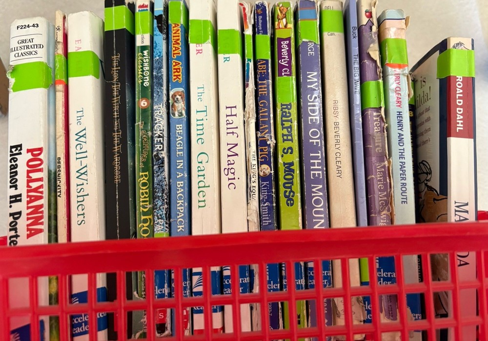 Lot Of AR Reading Children’s Literature Books Reading Level 5.0-5.9
