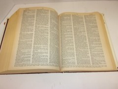 New Webster’s Dictionary And Thesaurus Of The English Language 1992, 1248 Pages