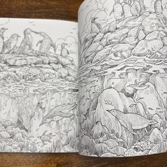 Fragile World: Colour Nature’s Wonders (Colouring Books) by Rosanes, Kerby Book