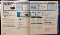 3rd Grade -Pearson enVision 2009 TEACHER’S EDITION Entire Set Topics 1-20 (2009)
