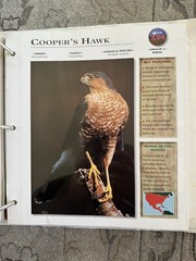 Wildlife Explorer Study Guides – Sealed Pack- 12 Pages – New