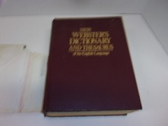 New Webster’s Dictionary And Thesaurus Of The English Language 1992, 1248 Pages